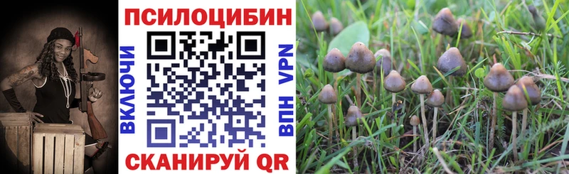 Галлюциногенные грибы ЛСД  Купить  Иланский 